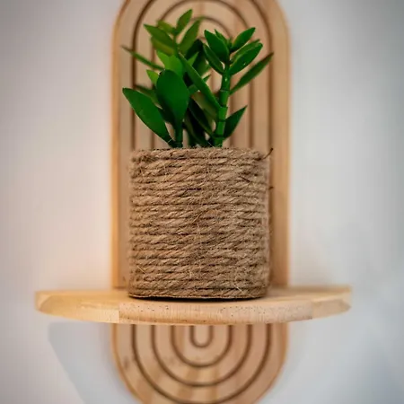 Argile Jardin Prive Wifi Appartement Kamerrijk
